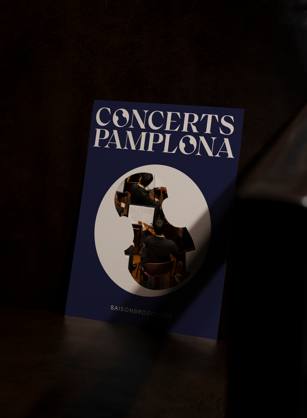 Concerts Pamplona - 7